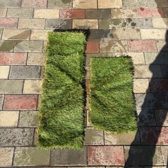 人工芝　　残りの画像