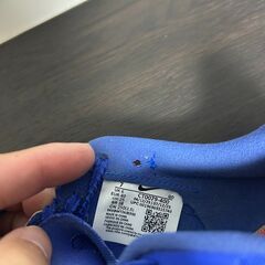 【25cm】ナイキ エアズーム LJ エリートの画像