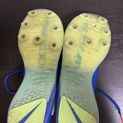 【25cm】ナイキ エアズーム LJ エリートの画像