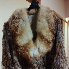 毛皮のコート　の画像