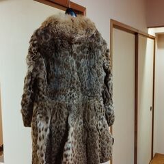 毛皮のコート　の画像