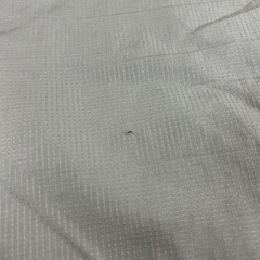 LUZeSOMBRA:Mサイズ ハーフパンツの画像