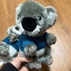 コアラ　ぬいぐるみ2体の画像