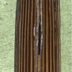 来週処分　傘　(破損あり)の画像