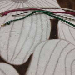 レディースベルト無料で差し上げますの画像