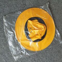 国鉄JNR時代のぼうし2の画像