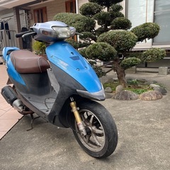 SUZUKI.ZZの画像