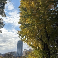 💫ちょっとした寂しさをこのグルで癒してみませんか？ - 名古屋市