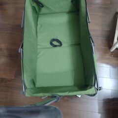 未使用バギーカート大の画像