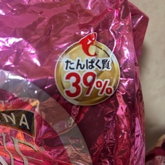 お取引中　キャットフード　の画像