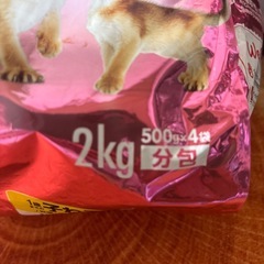 お取引中　キャットフード　の画像