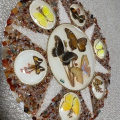 蝶 ブラジル産 壁掛け インテリアの画像