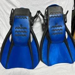 ダイビングフィン　トラベルフィンの画像