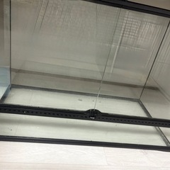 エキゾテラ90×60の画像