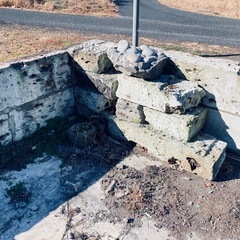 大谷石、枝木差し上げます！の画像