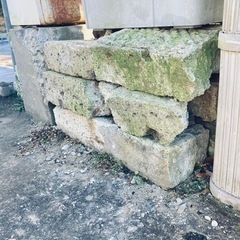 大谷石、枝木差し上げます！の画像