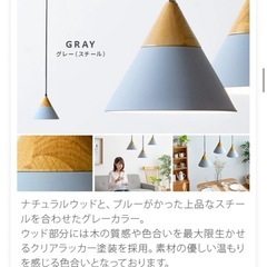 未使用品　ペンダントライトの画像