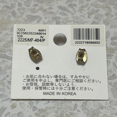 ピアス②の画像