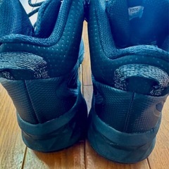 登山靴　25cmの画像