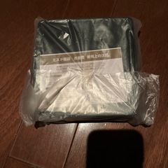 SNOOPY 重箱　未使用の画像