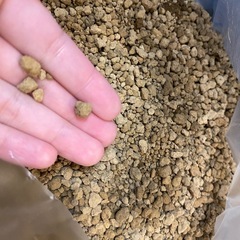 使用済み赤玉土　4.5kgの画像