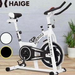 HEIGE ハイガースピンバイクの画像