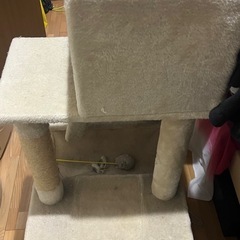 キャットタワーの画像