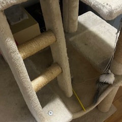 キャットタワーの画像