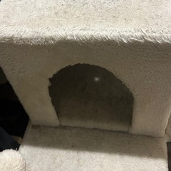 キャットタワーの画像