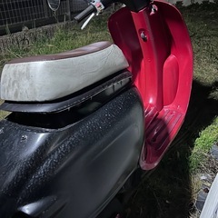 ジョルノの画像