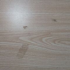 (来週処分予定!!)こたつテーブルの画像