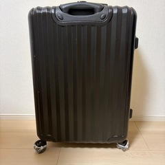 キャリーバッグの画像