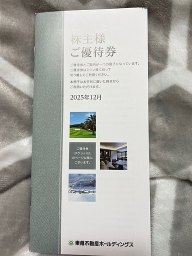 東急不動産ホールディングス　株主優待券