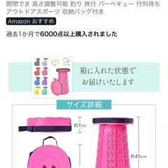 【収納クッション付き】Panus 折りたたみ椅子の画像