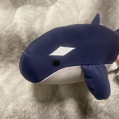 Nクール シャチ ぬいぐるみの画像