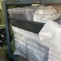 KOTA's insect クリスマスマーケット出品ブリード用品の画像