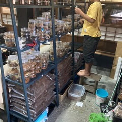 KOTA's insect クリスマスマーケット出品ブリード用品の画像
