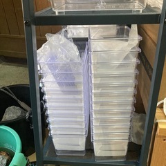 KOTA's insect クリスマスマーケット出品ブリード用品の画像