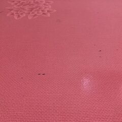 値下げしました！【中古/長期保管品/お引取り限定】■こたつ用天板■リバーシブル仕様■片面劣化アリ■□750mm×D20mm■の画像