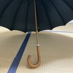 家族で入れる超大きい傘の画像