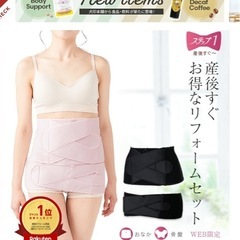 犬印　骨盤ベルトの画像