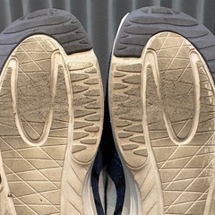 NIKEランニングシューズZOOMナイキJOEPEOASVSSSズーム26.5cの画像