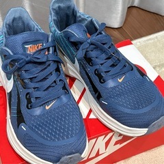 NIKEランニングシューズZOOMナイキJOEPEOASVSSSズーム26.5cの画像