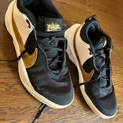 ナイキ バッシュ 25センチ バスケットボールシューズ
の画像