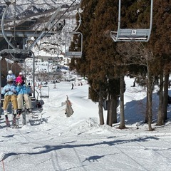 子どもキャンプボランティア - 名古屋市