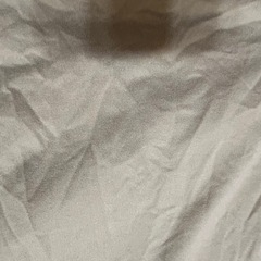 ニトリ　ダブル　マルスポ　シーツ　Nフィット　ベージュ　イブ　の画像