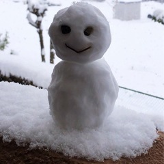 キャンプボランティア