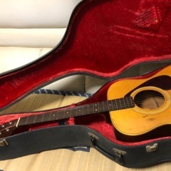 アコーステッキギターの画像