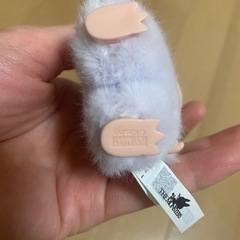 ラブブ♡の画像