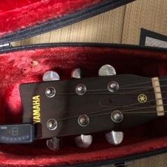 アコーステッキギターの画像